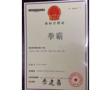 拳霸。