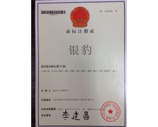 銀豹。